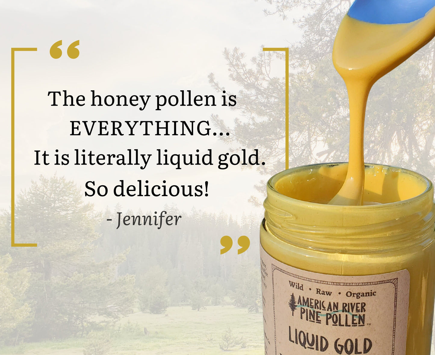Liquid Gold - Wildcrafted Raw Pine Pollen and Honey - Traditional Blend with Pine Synergy