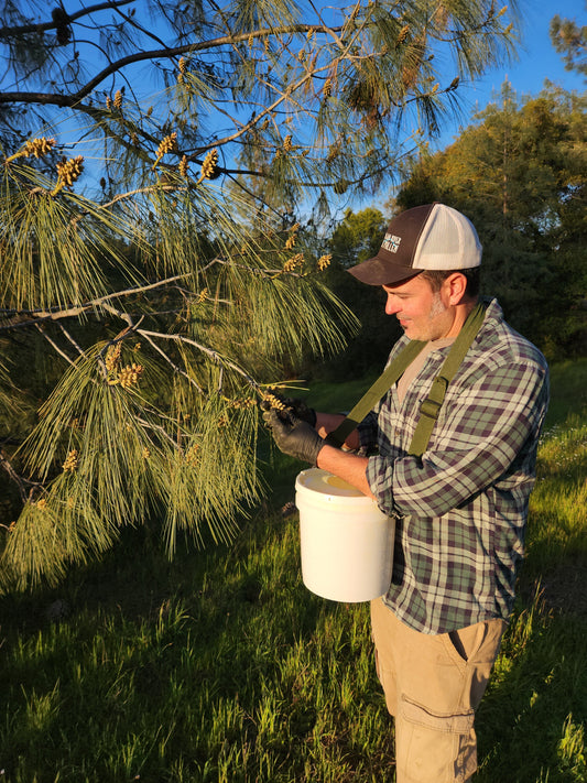 Harvested with Nature in Mind