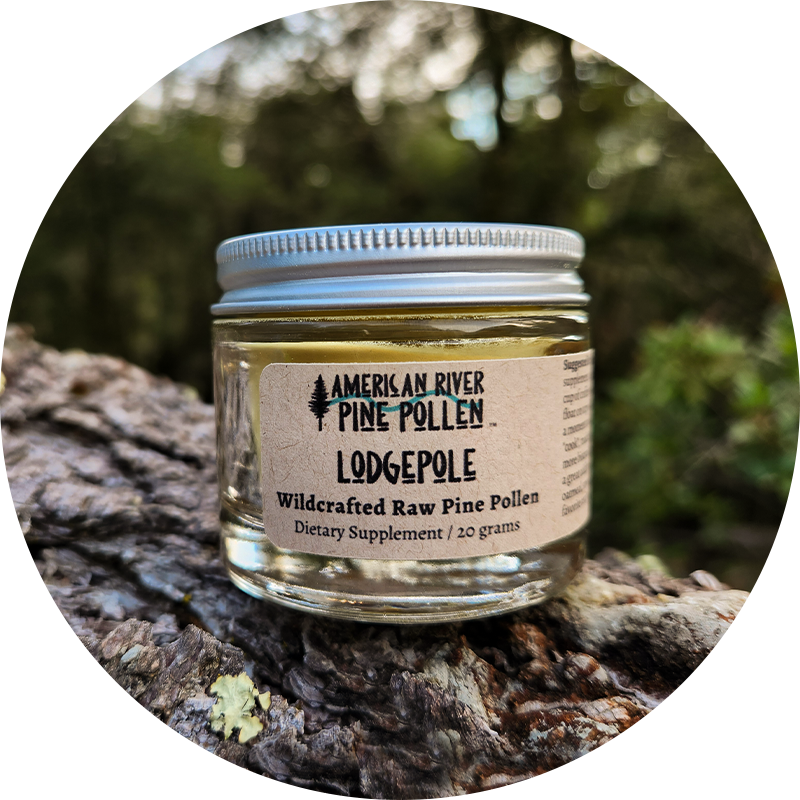 Pine Pollen