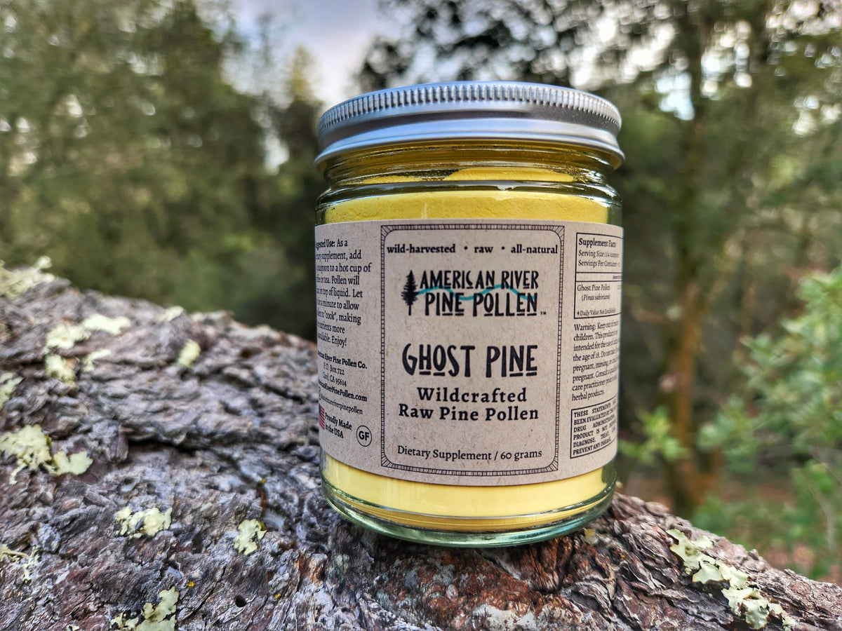Ghost Pine Pollen - Raw and Wild-Harvested
