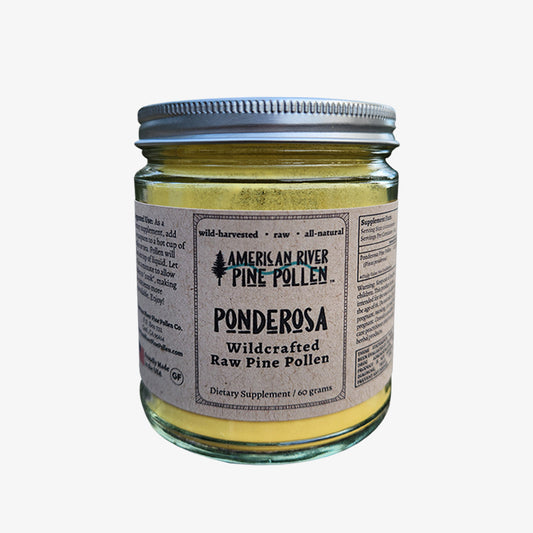 Ponderosa Pine Pollen - Raw and Wild-Harvested