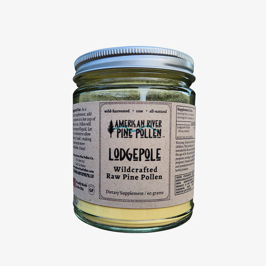 Lodgepole Pine Pollen - Raw and Wild-Harvested