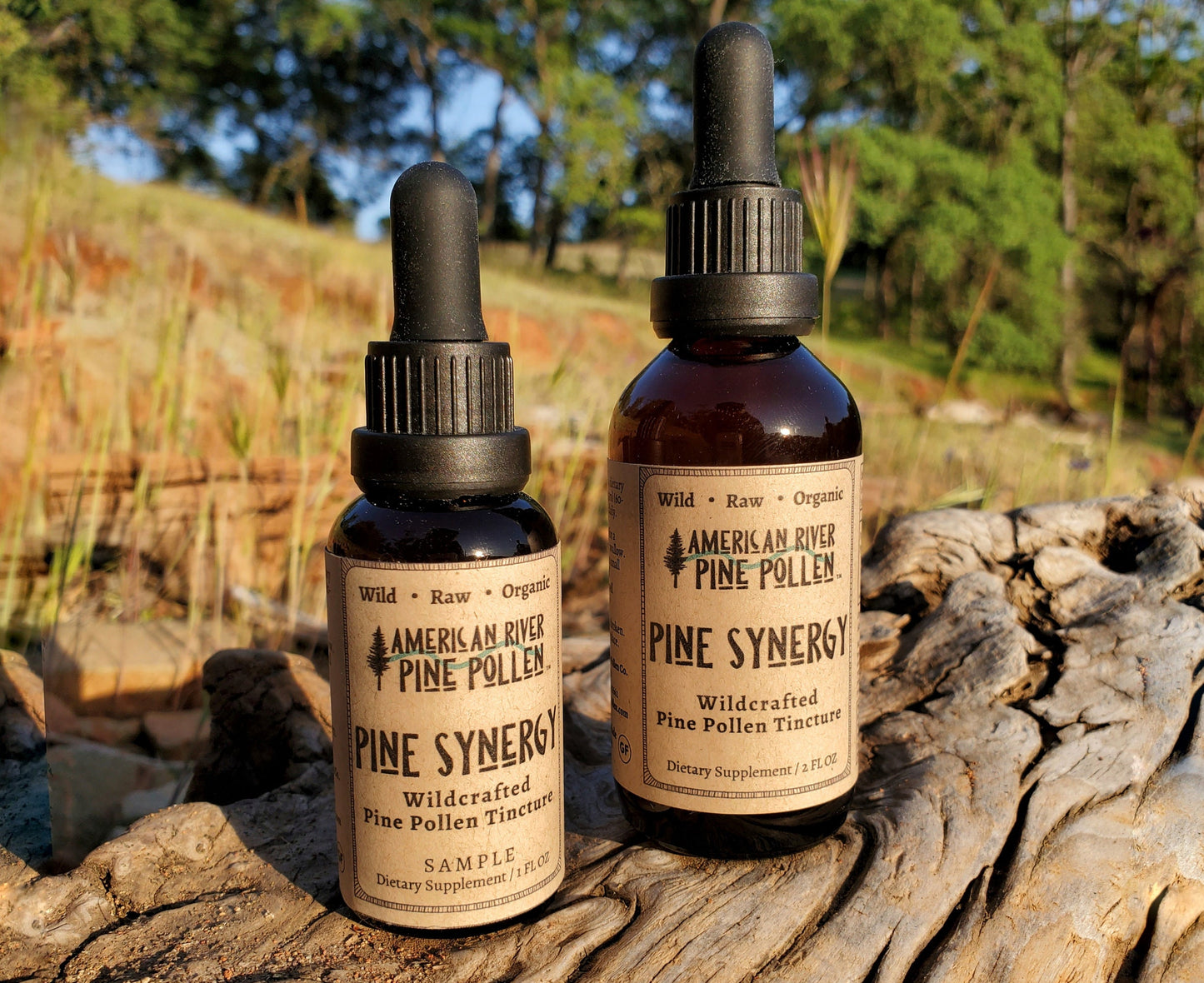 Wildcrafted USA Pine Pollen Tincture/Extract - Pine Synergy