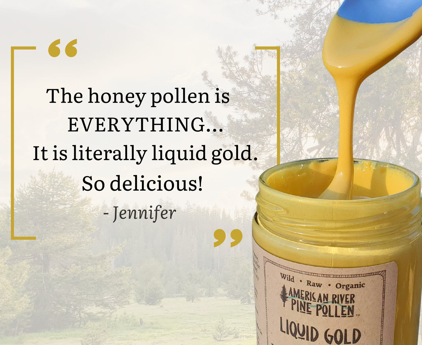 Liquid Gold -  Wildcrafted Raw Pine Pollen and Honey - Traditional Blend with Pine Synergy