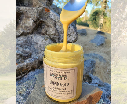 Liquid Gold -  Wildcrafted Raw Pine Pollen and Honey Electuary