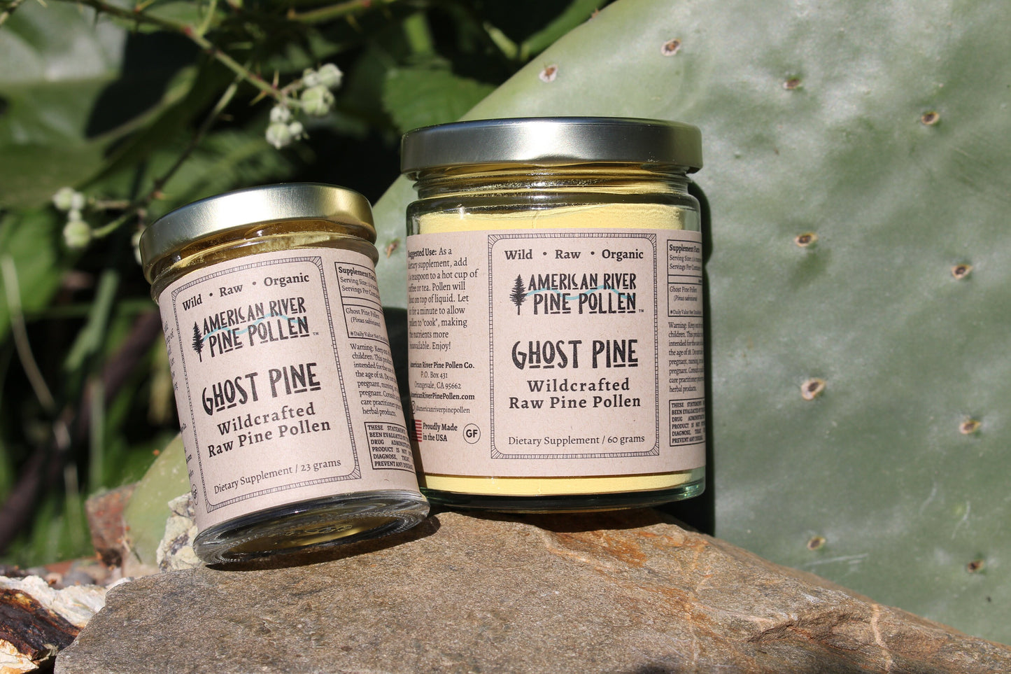 Ghost Pine Pollen - Raw and Wild-Harvested