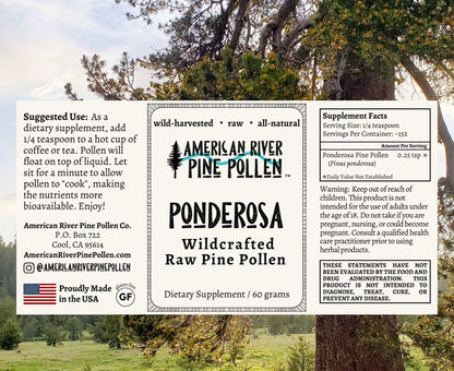 Ponderosa Pine Pollen - Raw and Wild-Harvested
